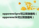 opporeno5pro可以双微信吗（opporeno5k可以双微信吗）