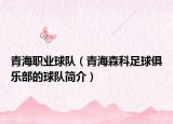 青海职业球队（青海森科足球俱乐部的球队简介）