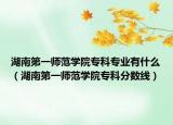 湖南第一师范学院专科专业有什么（湖南第一师范学院专科分数线）