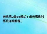 老桃毛u盘pe模式（求老毛桃PE系统详细教程）