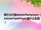 用什么代替adobeflashplayer（AdobeFlashPlayer是什么东西）