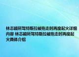 林志颖所驾特斯拉被拖走时再度起火详细内容 林志颖所驾特斯拉被拖走时再度起火具体介绍