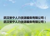 武汉景宁人力资源服务有限公司（武汉景宁人力资源服务有限公司）