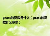 grass的复数是什么（grass的复数什么意思）