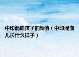 中印混血孩子的颜值（中印混血儿长什么样子）