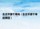 东北平原干旱吗（东北平原干旱的原因）