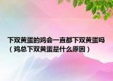 下双黄蛋的鸡会一直都下双黄蛋吗（鸡总下双黄蛋是什么原因）