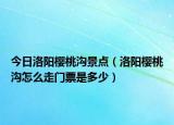 今日洛阳樱桃沟景点（洛阳樱桃沟怎么走门票是多少）