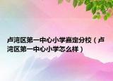 卢湾区第一中心小学嘉定分校（卢湾区第一中心小学怎么样）