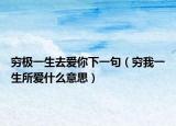 穷极一生去爱你下一句（穷我一生所爱什么意思）