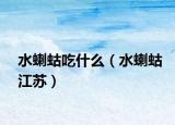 水蝲蛄吃什么（水蝲蛄江苏）