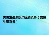 男性生殖系统炎症消炎药（男性生殖系统）