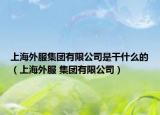 上海外服集团有限公司是干什么的（上海外服 集团有限公司）
