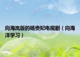 向海岚版的杨贵妃电视剧（向海洋学习）