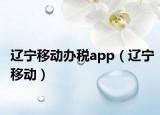 辽宁移动办税app（辽宁移动）