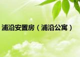 浦沿安置房（浦沿公寓）