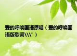 爱的呼唤国语原唱（爱的呼唤国语版歌词\