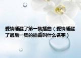爱情睡醒了第一集插曲（爱情睡醒了最后一集的插曲叫什么名字）