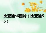 比亚迪s6图片（比亚迪S6）