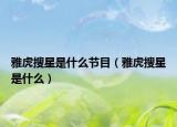 雅虎搜星是什么节目（雅虎搜星是什么）