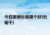 今日更新牡蛎哪个好(牡蛎干)