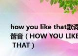 how you like that歌词谐音（HOW YOU LIKE THAT）