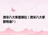 唐宋八大家是哪位（唐宋八大家都有谁?）