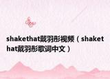 shakethat戴羽彤视频（shakethat戴羽彤歌词中文）