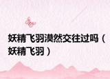 妖精飞羽漠然交往过吗（妖精飞羽）