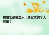 唐建宏是哪里人（唐宏武的个人经历）
