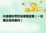 抖音美好奇妙夜哪里能看（一定要去现场看吗）