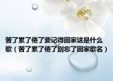 苦了累了倦了要记得回家这是什么歌（苦了累了倦了别忘了回家歌名）