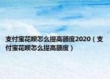 支付宝花呗怎么提高额度2020（支付宝花呗怎么提高额度）