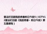 普法栏目剧我的青春昨日今夜5（CCTV12普法栏目剧《我的青春丶昨日今夜》第五集哪有）