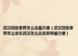 武汉到张家界怎么走最方便（武汉到张家界怎么坐车武汉怎么去张家界最方便）