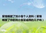 爱情睡醒了刘小宝个人资料（爱情睡醒了中的刘小宝是戚薇的儿子吗）