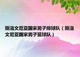斯洛文尼亚国家男子排球队（斯洛文尼亚国家男子篮球队）