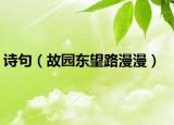 诗句（故园东望路漫漫）