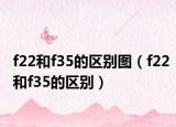 f22和f35的区别图（f22和f35的区别）