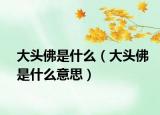 大头佛是什么（大头佛是什么意思）