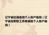 辽宁省社保查询个人账户查询（辽宁省在职职工养老保险个人账户查询）