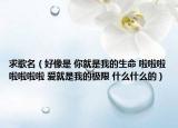 求歌名（好像是 你就是我的生命 啦啦啦啦啦啦啦 爱就是我的极限 什么什么的）