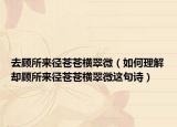 去顾所来径苍苍横翠微（如何理解却顾所来径苍苍横翠微这句诗）