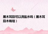 黑木耳段可以浇盐水吗（黑木耳段木栽培）