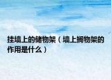 挂墙上的储物架（墙上搁物架的作用是什么）