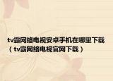 tv霸网络电视安卓手机在哪里下载（tv霸网络电视官网下载）