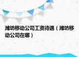 潍坊移动公司工资待遇（潍坊移动公司在哪）