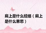 肩上是什么经络（肩上是什么意思）