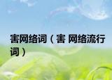 害网络词（害 网络流行词）