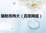 隐秘而伟大（百度网盘）